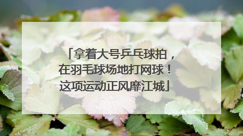 拿着大号乒乓球拍，在羽毛球场地打网球！这项运动正风靡江城